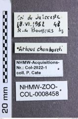 Etikette zu Athous (Orthathous) chamboveti (Mulsant & Godart, 1868) (NHMW-ZOO-COL-0008458)